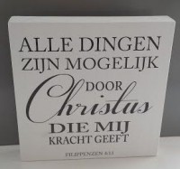 Alle dingen zijn mogelijk... (20x20cm)